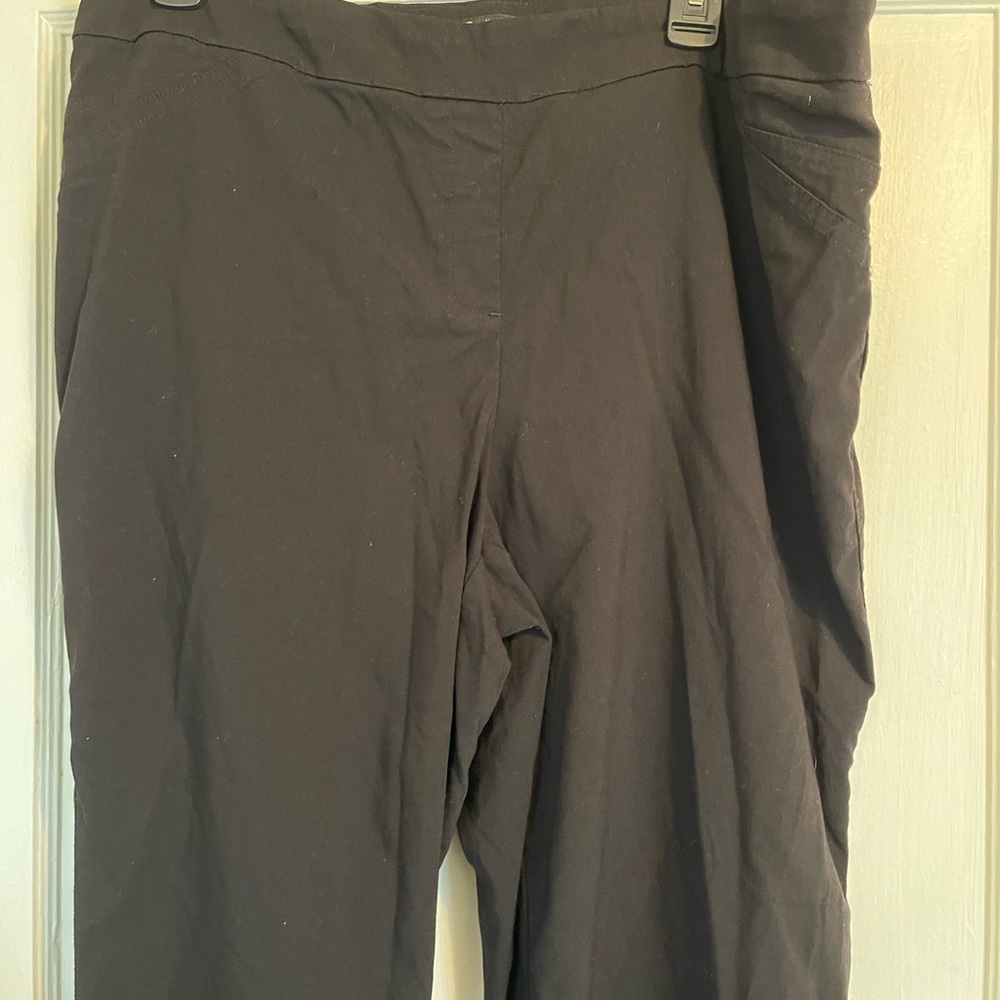 Dalia plus size Capri pant